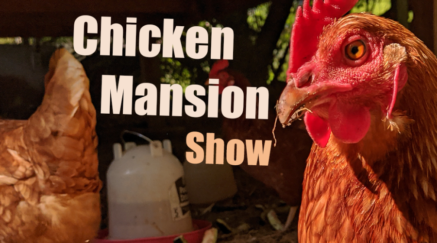 The Chicken Mansion Show